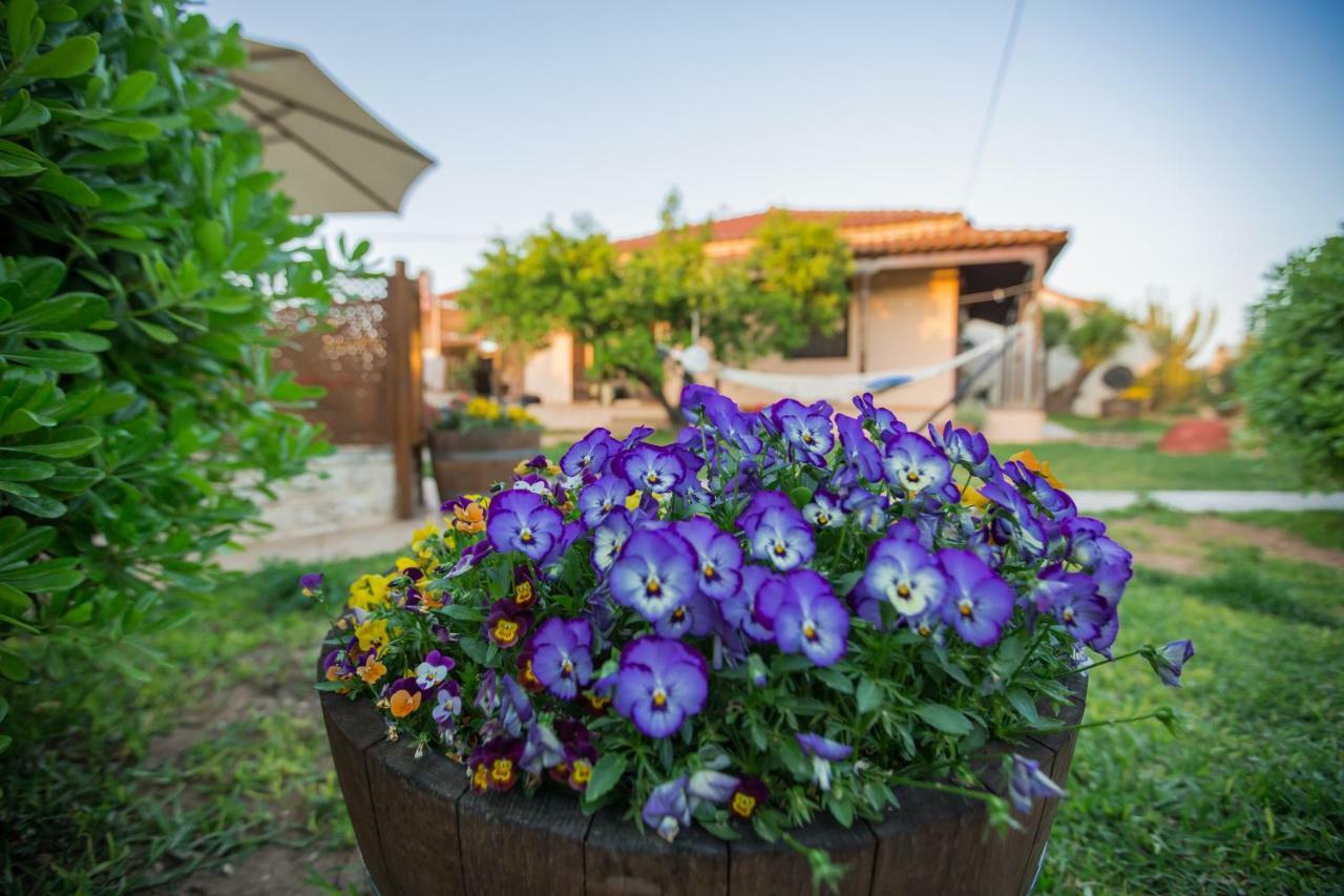 Ancient Corinth Guest House Экстерьер фото